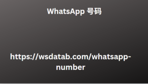 WhatsApp 号码