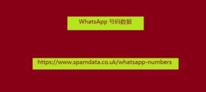 WhatsApp 号码数据