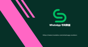 WhatsApp 号码数据