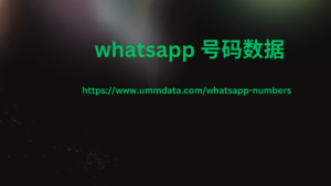 WhatsApp 号码数据3