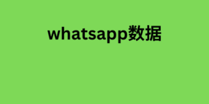 whatsapp数据