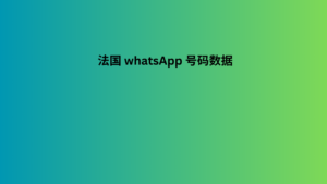 法国 whatsApp 号码数据